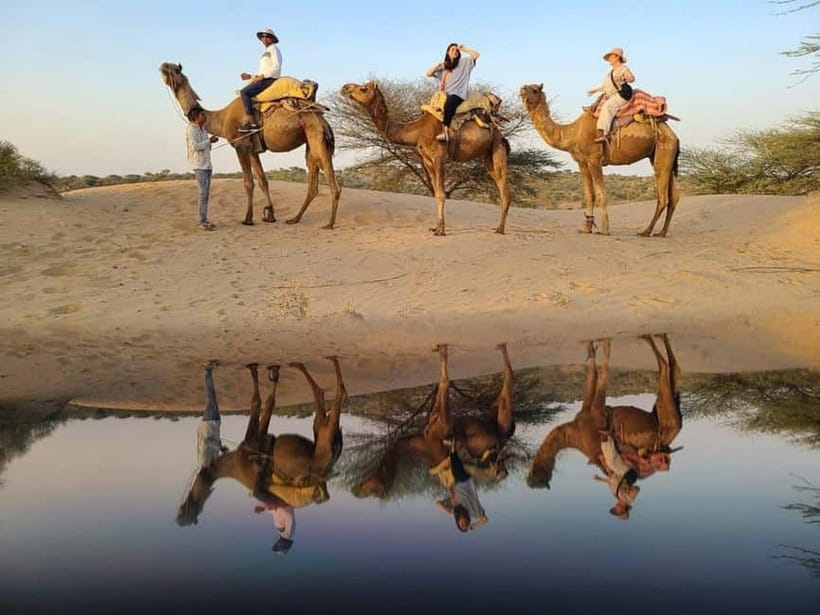 Jodhpur: Overnight Stay in Desert with Camel Safari - Fire-Cooked Vegetarian Food and Marwari Flavors by Night