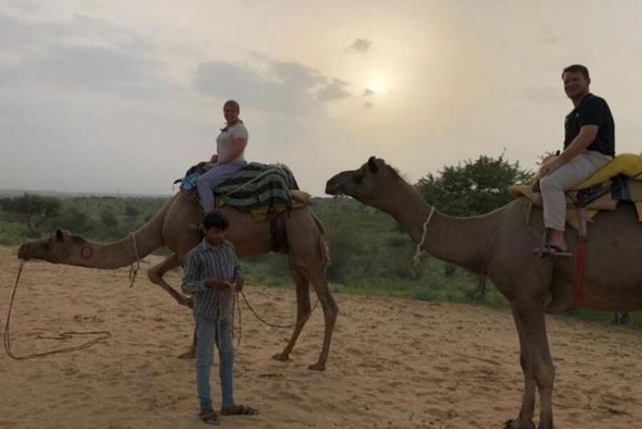 Jodhpur: Overnight Stay in Desert with Camel Safari - Price and Value: Why Around $35 Feels Like a Steal