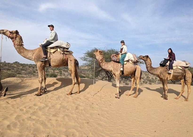 Jodhpur: Overnight Stay in Desert with Camel Safari - Osian Temples: Sachiya Mata Marble and Independent Time