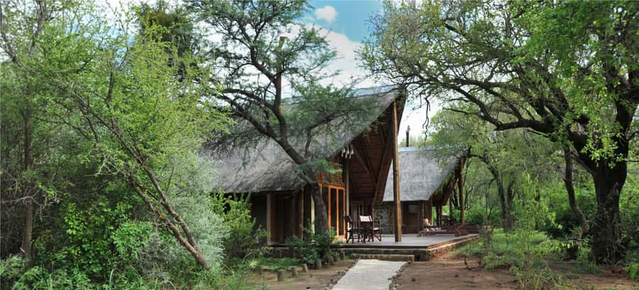 Johannesburg: 2-Day 4-Star Pilanesberg Safari - Sunrise Game Drive: The Early Light That Changes Everything