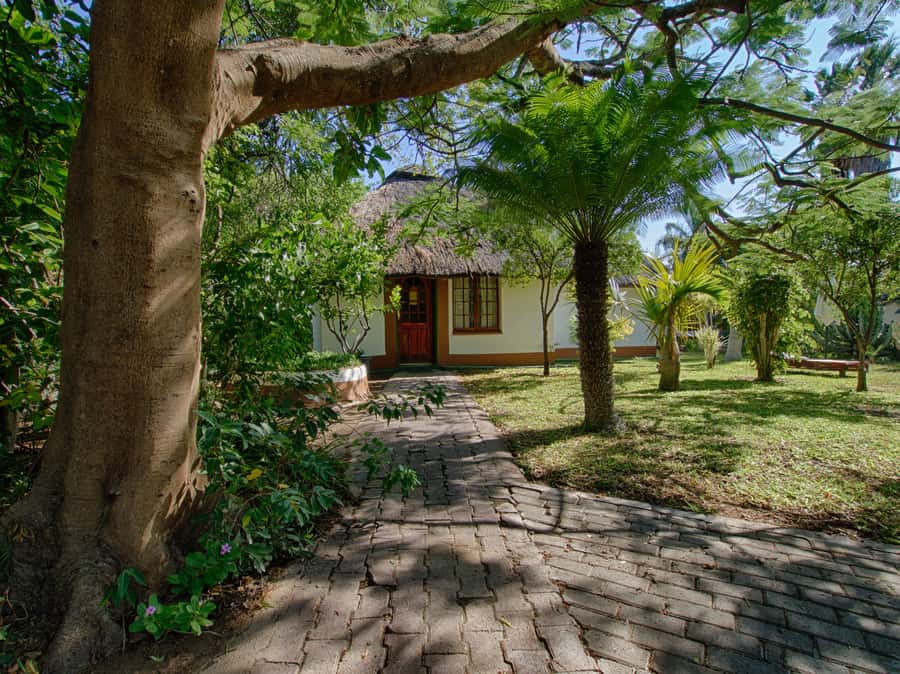 Johannesburg: 3-Day Classic Kruger National Park Safari Tour - Should You Book This 3-Day Kruger Safari From Johannesburg?