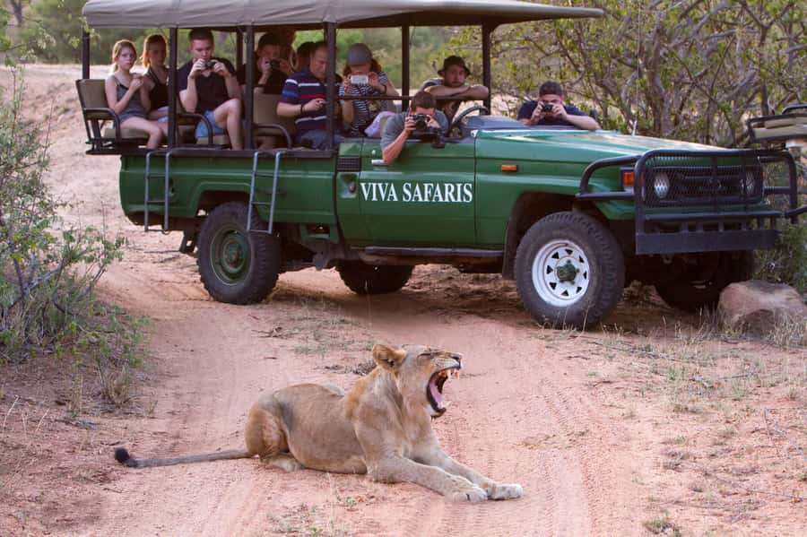 Johannesburg: 3-Day Classic Kruger National Park Safari Tour - Sunset to Night Sounds: Getting Into Kruger Mode