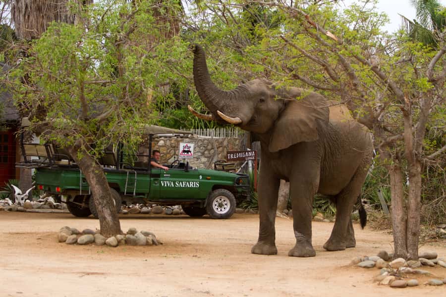 Johannesburg: 3-Day Classic Kruger National Park Safari Tour - Orpen Gate to Lion Territory: A Full Day in Kruger