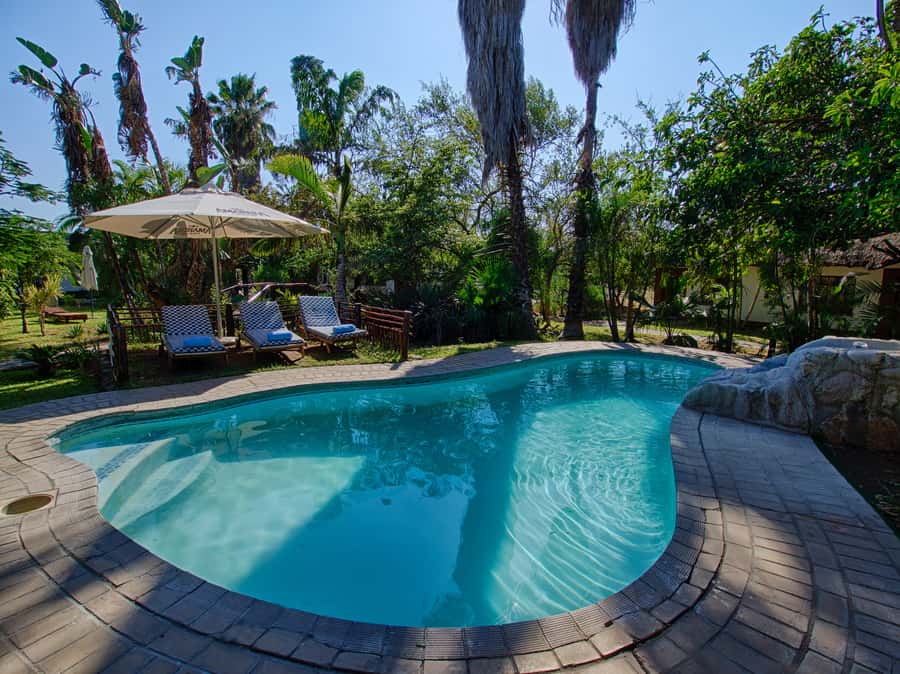 Johannesburg: 3-Day Classic Kruger National Park Safari Tour - Bush BBQ Under the Stars, Then Spotlight Night Drive