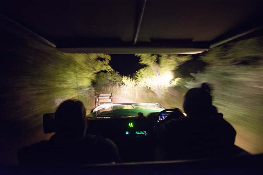 Johannesburg: 4-Day Classic Kruger National Park Safari - Key Safari Highlights That Matter
