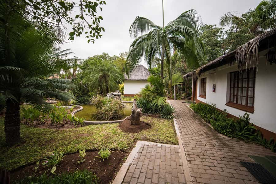 Johannesburg: 4-Day Classic Kruger National Park Safari - The bush braai at Marula Tree Boma: dinner with real atmosphere