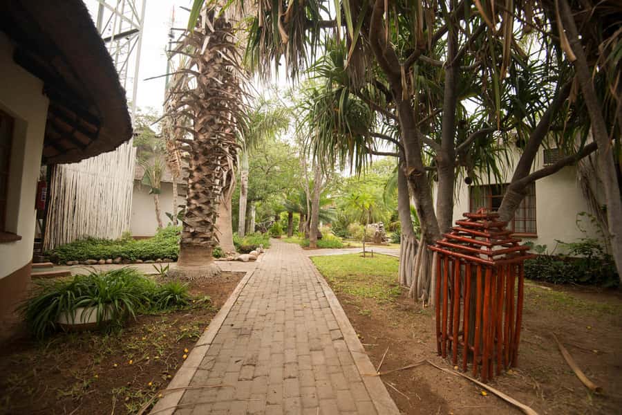 Johannesburg: 4-Day Classic Kruger National Park Safari - Full Kruger day from Orpen Gate: where open plains and predators fit