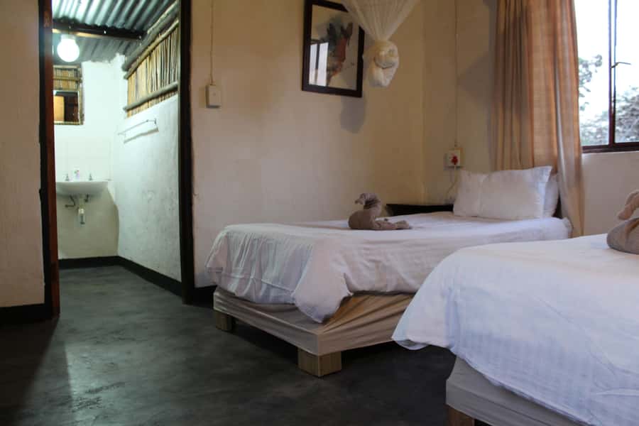 Johannesburg: Affordable 3 Day Kruger Park Safari - Final verdict: should you book?