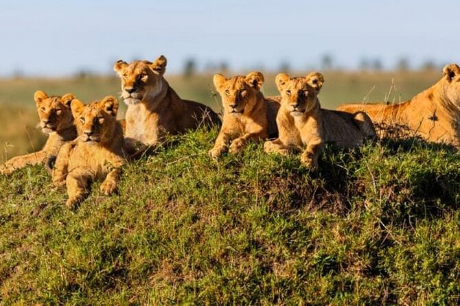 Joining Safari from Mwanza - The wildlife viewing plan: more than just Big Five chasing