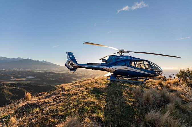 Kaikoura Whale Watching - 45 Minute Ocean Safari - How long is it, and how should you plan your day?