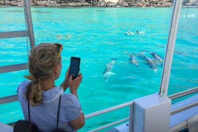 Kangaroo Island: 75-Minute Coastal Safari - 75 Minutes of Coastal Scanning: What the Cruise Really Feels Like