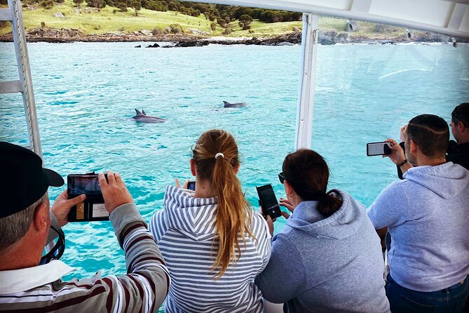 Kangaroo Island 75-Minute Coastal Safari - Live onboard commentary: why it makes the cruise feel more worth it