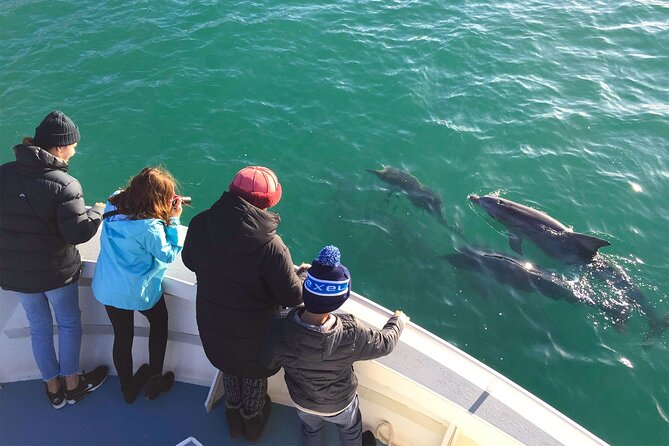 Kangaroo Island 75-Minute Coastal Safari - Group size and boat comfort: maximum 38 travelers helps
