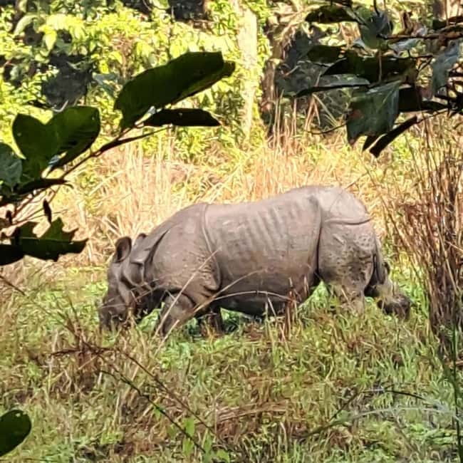 Kathmandu: 3-Day Chitwan Safari Tour with Hotel Transfers - Entering Chitwan With Transfers That Don’t Waste Your Day