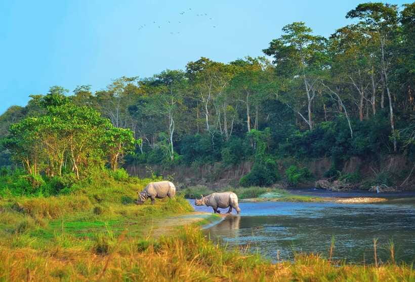 Kathmandu/Pokhara: 3 Day Chitwan Jungle Safari Tour - Where You Sleep: Jungle Resort Comfort (And What to Expect)