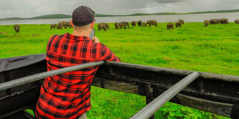 Kaudulla National Park Half Day Sri Lanka Jeep Safari - Key things I think you’ll notice fast