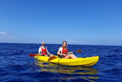 Kayak Safari with Dolphin and Turtle Watching in Guaza - The Teno Rasca Marine Strip: Where You Actually Look for Dolphins and Turtles