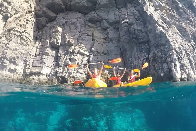 Kayak Safari with Dolphin and Turtle Watching in Guaza - Los Cristianos Meeting Point and Small-Group Reality