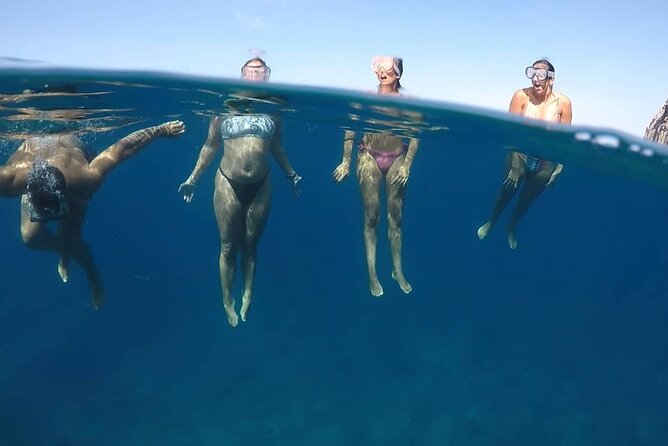 Kayak Safari with Dolphin and Turtle Watching in Guaza - Paddling Conditions: Waves, Tides, and the Short Haul to Shore