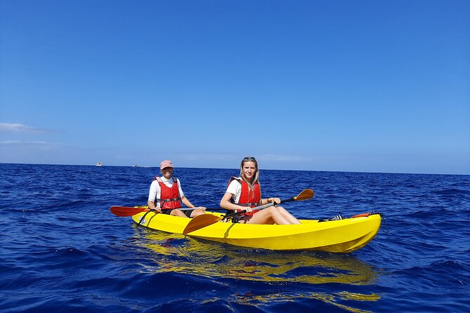 Kayak Safari with Dolphin and Turtle Watching in Guaza - The Teno Rasca Marine Strip: Where You Actually Look for Dolphins and Turtles
