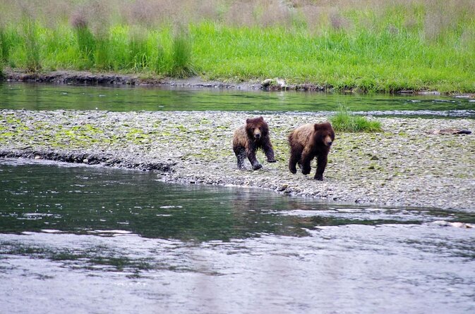 Ketchikan Jeep and Canoe Safari - Key Things I’d Block Time For