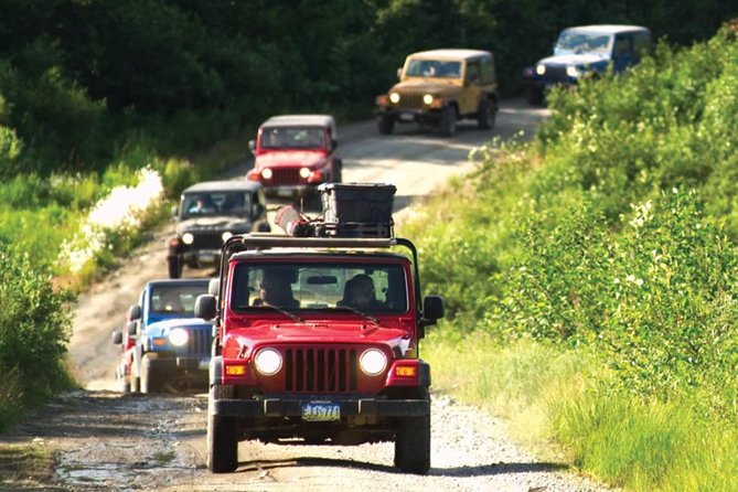 Ketchikan Jeep and Canoe Safari - Four Hours in Ketchikan: How This Safari Feels in Real Life