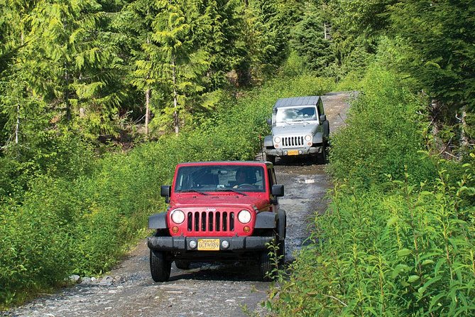 Ketchikan Jeep and Canoe Safari - Who This Safari Fits Best in Ketchikan