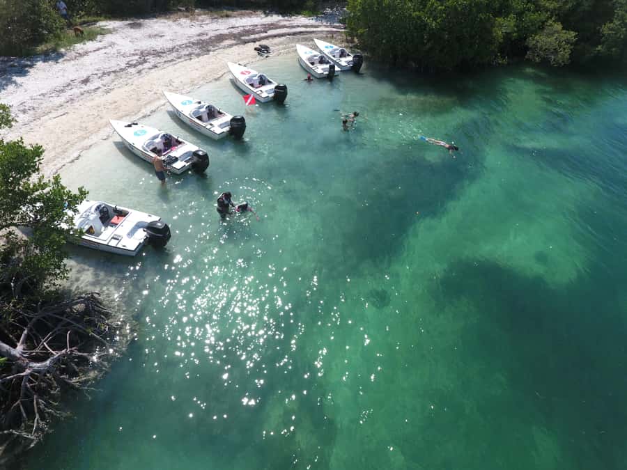 Key West: Eco Safari Sandbar Tour with Snorkeling - Key highlights you’ll feel on day of