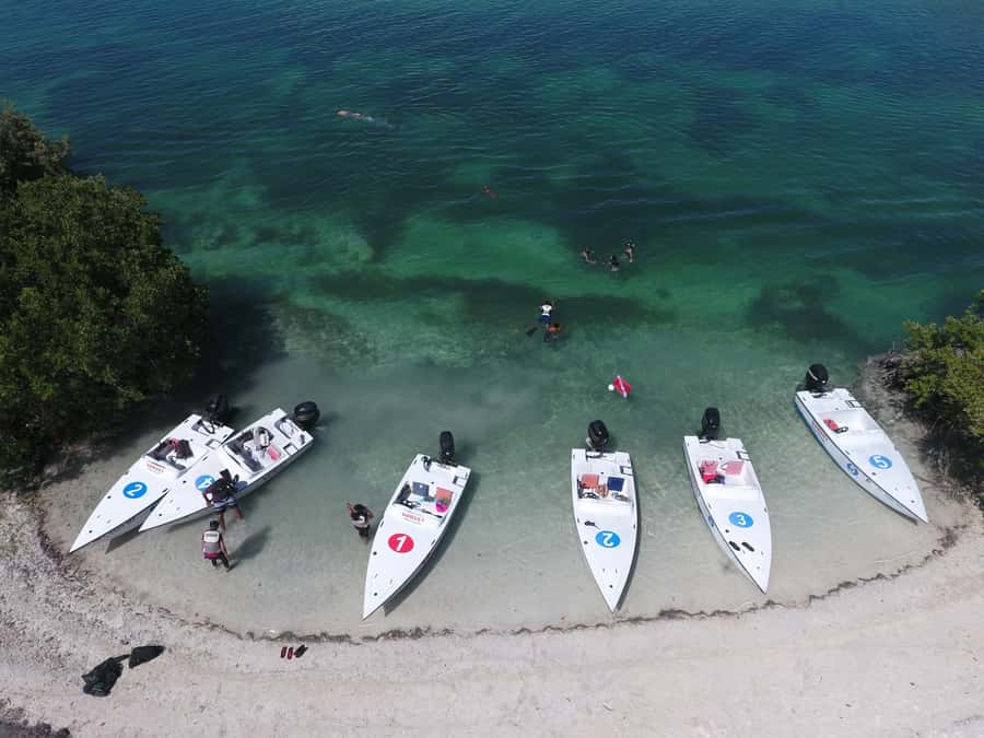 Key West: Eco Safari Sandbar Tour with Snorkeling - Cow Key Marina start: your pistol boat lesson comes first
