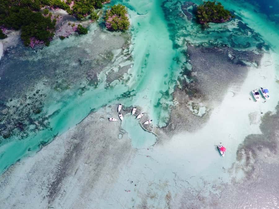 Key West: Eco Safari Sandbar Tour with Snorkeling - Mud Key sandbar: the Gulf of Mexico stop that feels like a mini escape