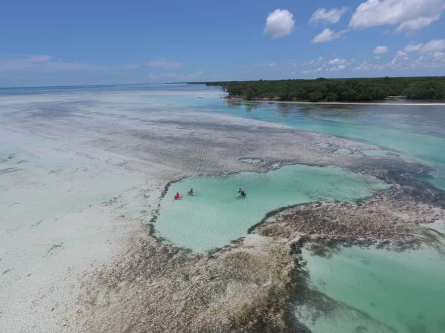 Key West: Eco Safari Sandbar Tour with Snorkeling - Snorkeling with included gear: how to plan your water time
