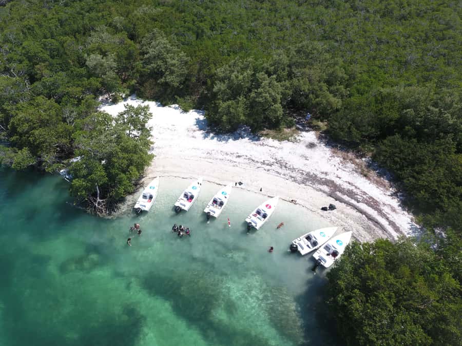 Key West: Eco Safari Sandbar Tour with Snorkeling - Returning through mangrove channels: why the loop feels complete