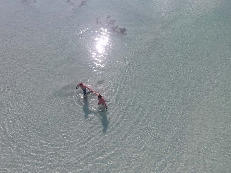 Key West: Eco Safari Sandbar Tour with Snorkeling - Price and value: when $178 per group feels fair