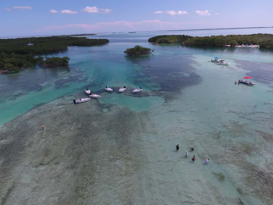 Key West: Eco Safari Sandbar Tour with Snorkeling - Who this eco safari boat tour suits best