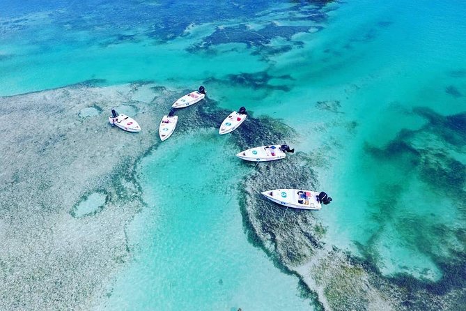 Key West Safari Eco Sandbar Tour Adventure with Snorkeling - Quick hits before you go
