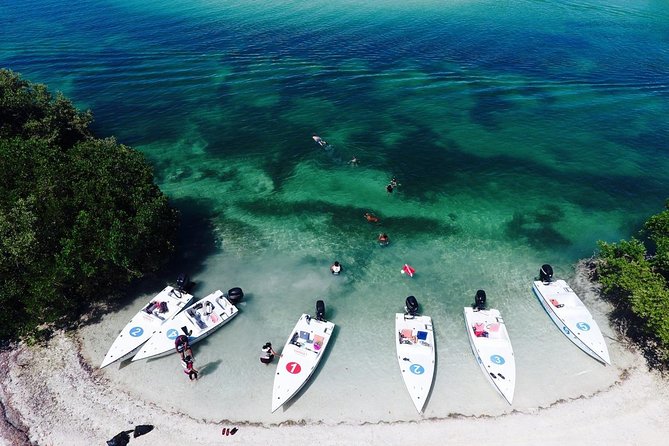 Key West Safari Eco Sandbar Tour Adventure with Snorkeling - From Stock Island to the water: how the tour really starts