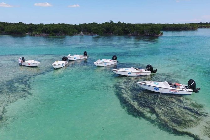 Key West Safari Eco Sandbar Tour Adventure with Snorkeling - Florida Keys National Marine Sanctuary: why this stop matters