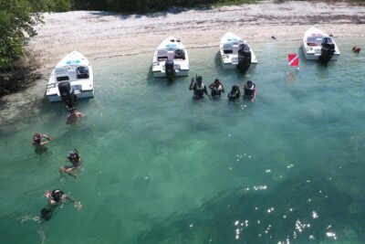 Key West Safari Eco Sandbar Tour Adventure with Snorkeling - The 28-mile mangrove run: scenery plus wildlife spotting time
