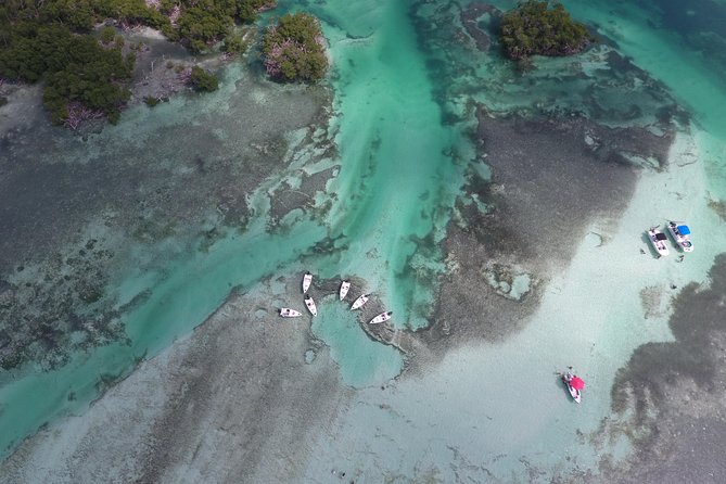 Key West Safari Eco Sandbar Tour Adventure with Snorkeling - Mud Key Sandbar: snorkeling, swimming, and the reality check