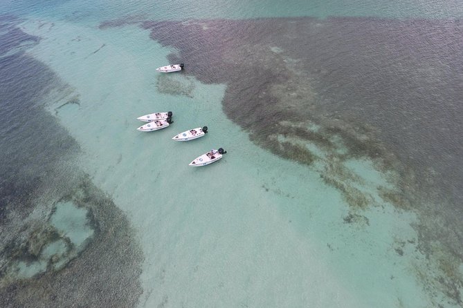 Key West Safari Eco Sandbar Tour Adventure with Snorkeling - Mud Key island time: trails, photo spots, and muddy shoes