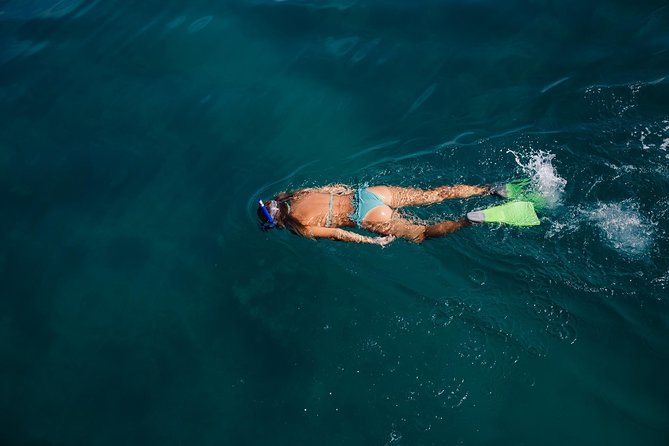 Key West Safari Eco Sandbar Tour Adventure with Snorkeling - Stops and pacing: how the 2.5 hours usually feel