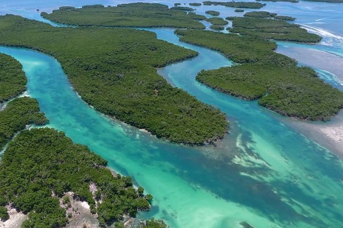Key West Safari Eco Sandbar Tour Adventure with Snorkeling - Morning vs afternoon: choosing the time with real-world weather in mind