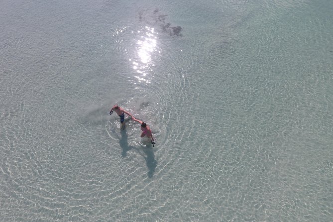 Key West Safari Eco Sandbar Tour Adventure with Snorkeling - Price and value: is $197.12 for up to 2 fair?