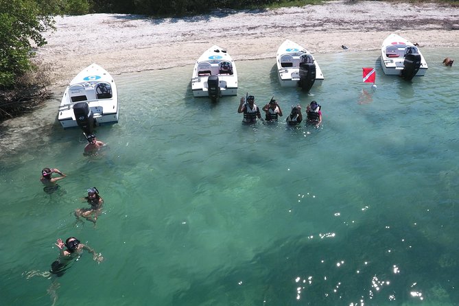 Key West Safari Eco Sandbar Tour Adventure with Snorkeling - The 28-mile mangrove run: scenery plus wildlife spotting time