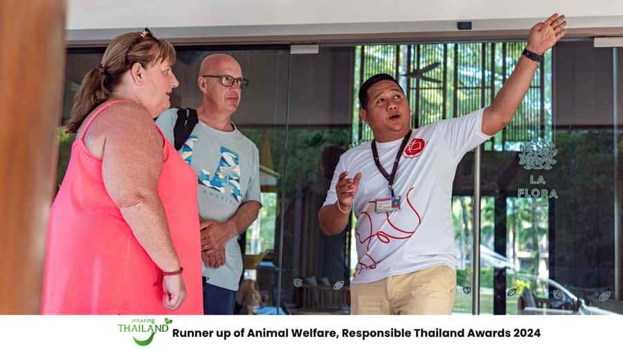 Khao Lak Eco-Safari: Elephants, Tsunami Museum, and Turtles - Getting to the sanctuary: the short drive that sets the tone