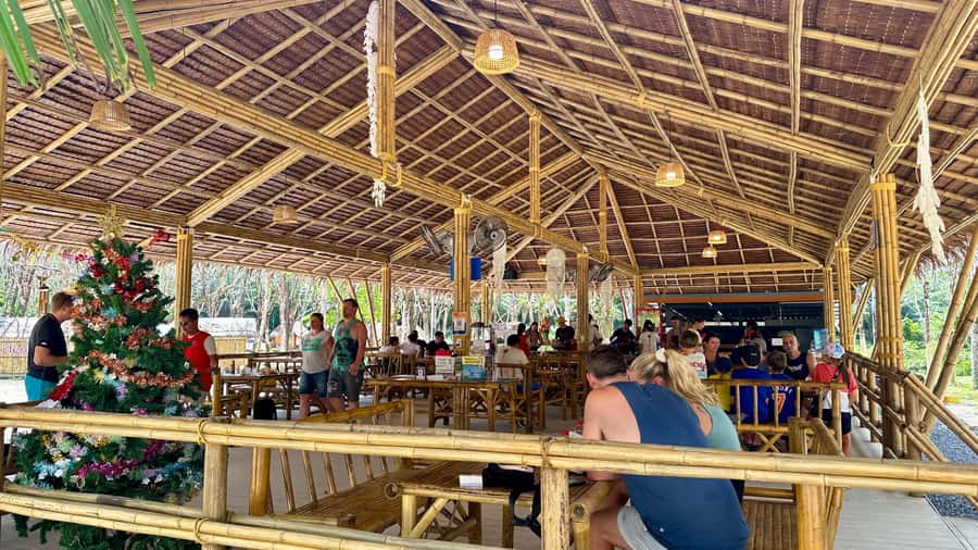 Khao Lak Eco-Safari: Elephants, Tsunami Museum, and Turtles - Lunch at the sanctuary: a Thai set meal plus a chance to cool off