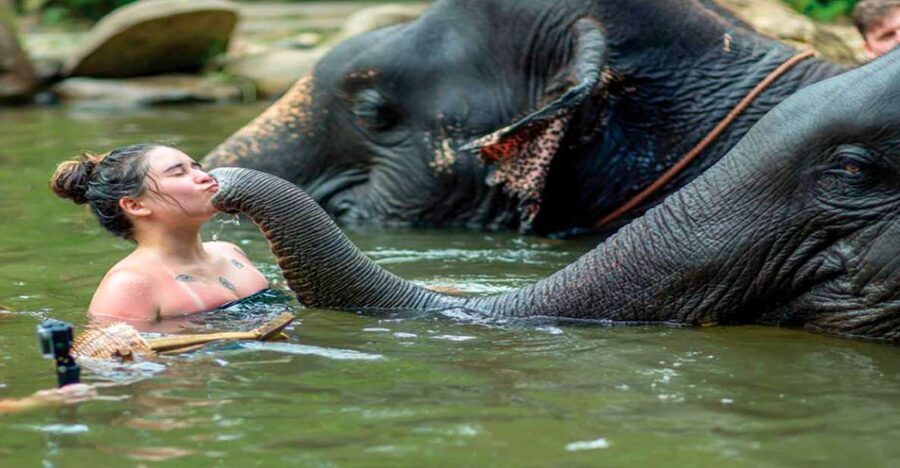 Khao Lak: Elephant Safari with Lunch - Khao Lak Safari: A Full-Day Plan That Feels Like Three Trips