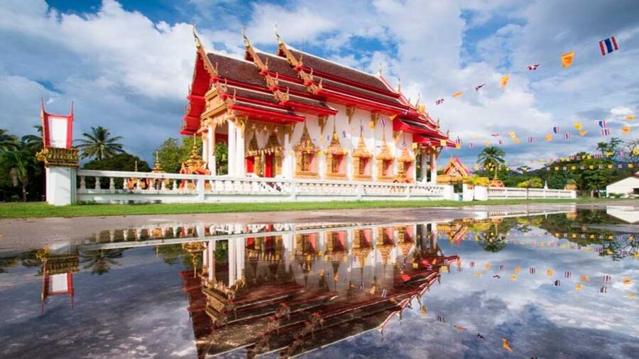 Khao Lak: Elephant Safari with Lunch - Bamboo Rafting on the River: Quiet Paddles and Wildlife Overhead