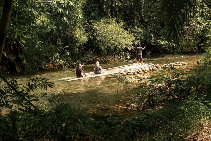Khao Lak: Elephant Safari with Lunch - Turtle Conservation and the Queen Turtle Release Mission