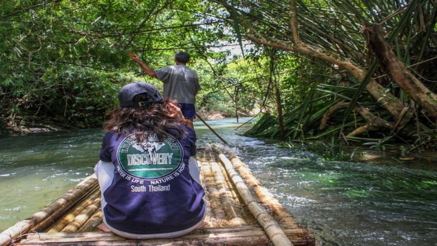 Khao Lak: Elephant Safari with Lunch - Waterfall Time and a Temple Introduction to Buddhism